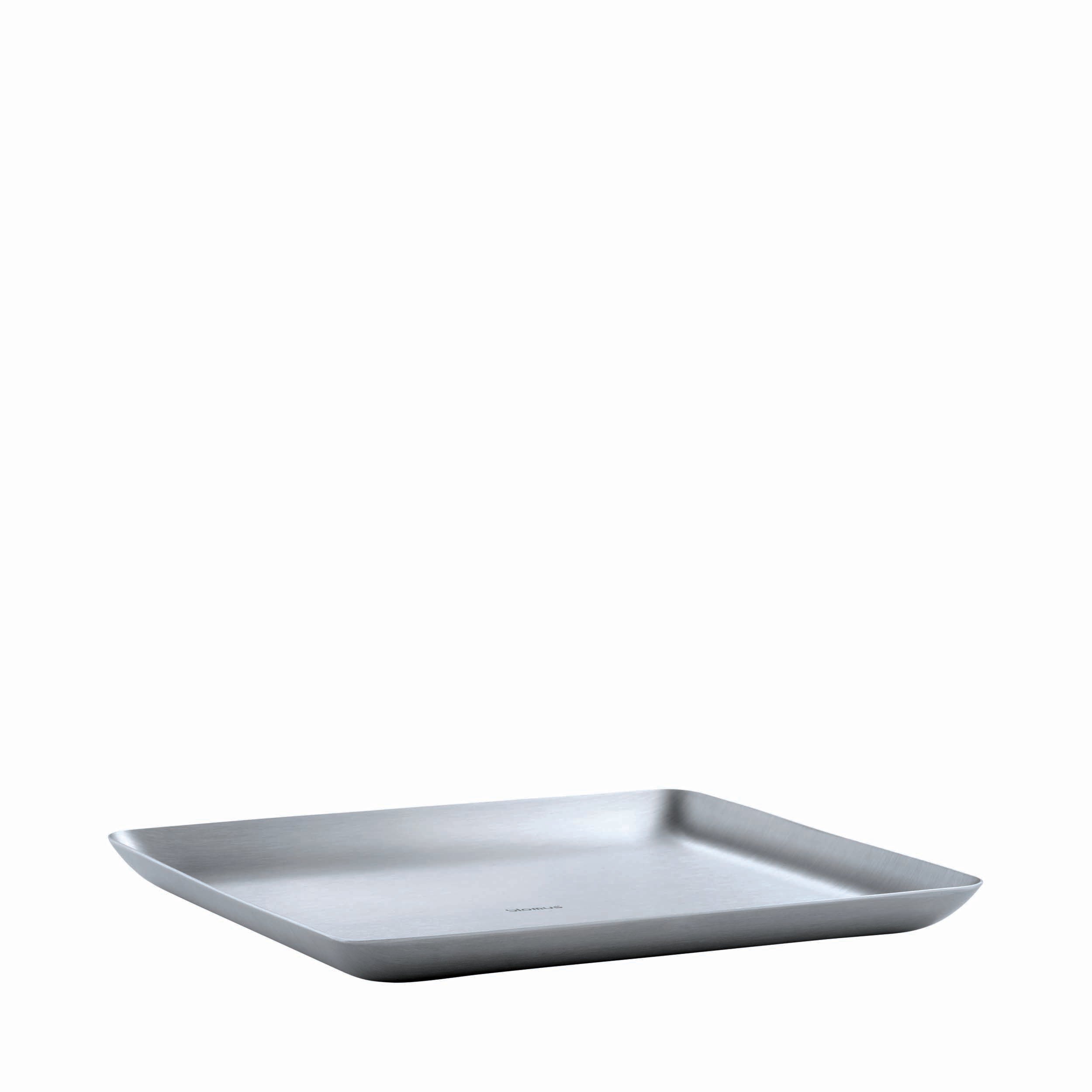 Stainless Steel Tray Wide