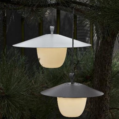 Rechargeable LED lamps hanging from pine trees outside