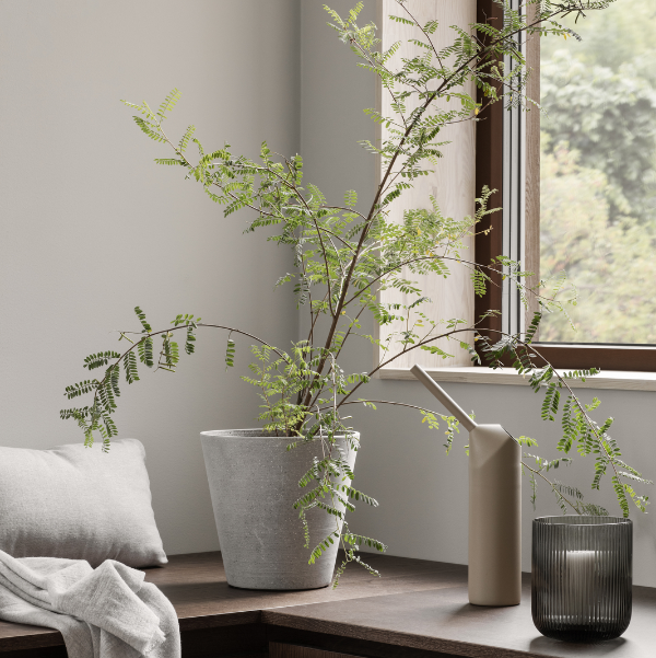 contemporary chic window nook with potted fern and blomus VEN glass hurricane lamp candle holder