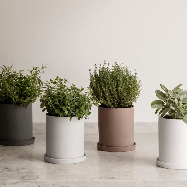 Herbs arranged in multiple colors of NONA porcelain herb pot by blomus