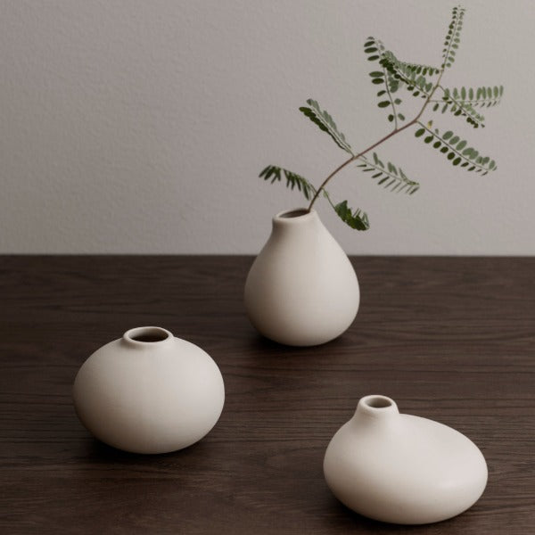 blomus NONA minimalist porcelain vases with fern arrangement on a dark wood table