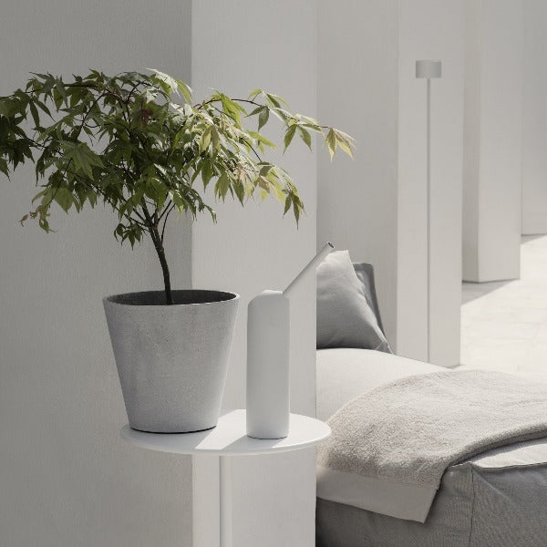 Outdoor patio scene with potted plant and water jug and lounger with outdoor floor lamp in the background