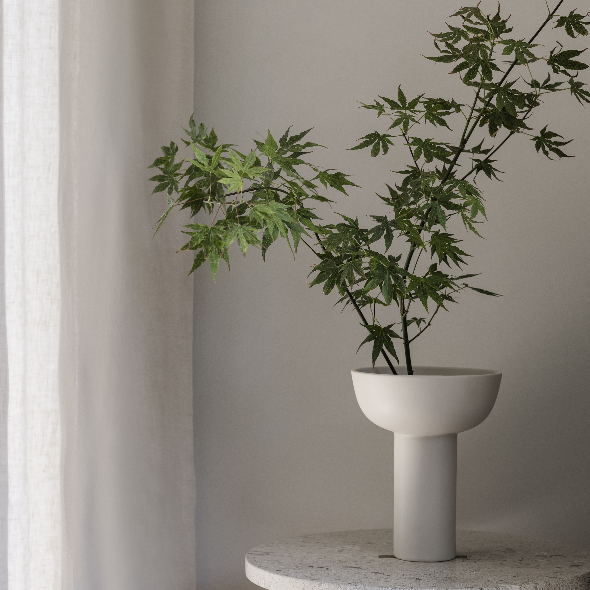 Japanese maple branches arranged in a cream colored MIYABI vase on a marble table next to window
