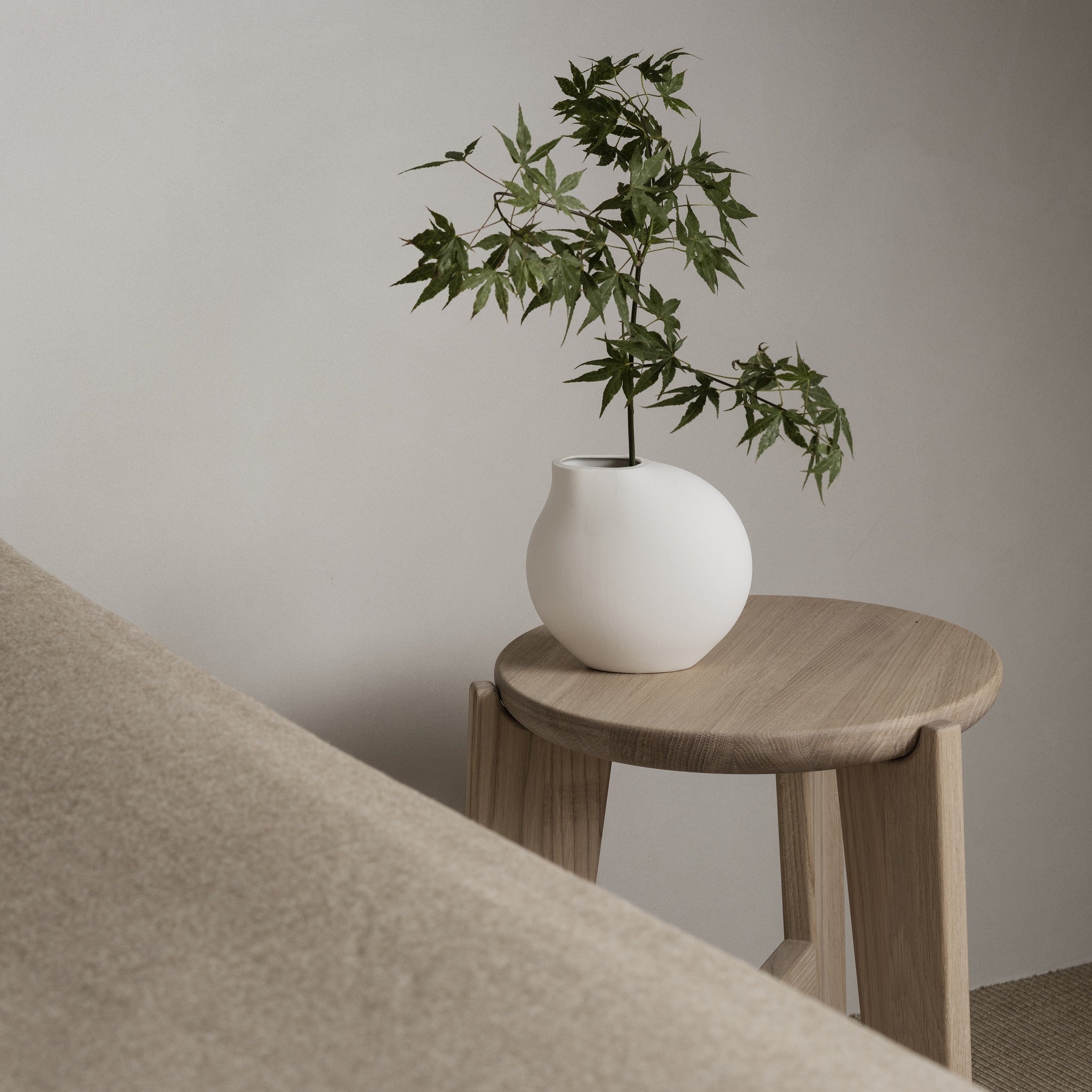 small tree in a porcelain vase on top of oak ELI stool