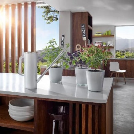Contemporary kitchen setting with potted plants on a white counter top with a white watering can with spout