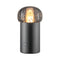 IRIS Lamp Gunmetal 67043