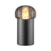 IRIS Lamp Gunmetal 67043