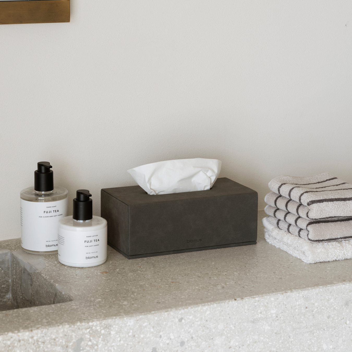 Bathroom counter with SAHLA Tissue Box, RIVA Towlels and soap and lotion containers on a neutral background.