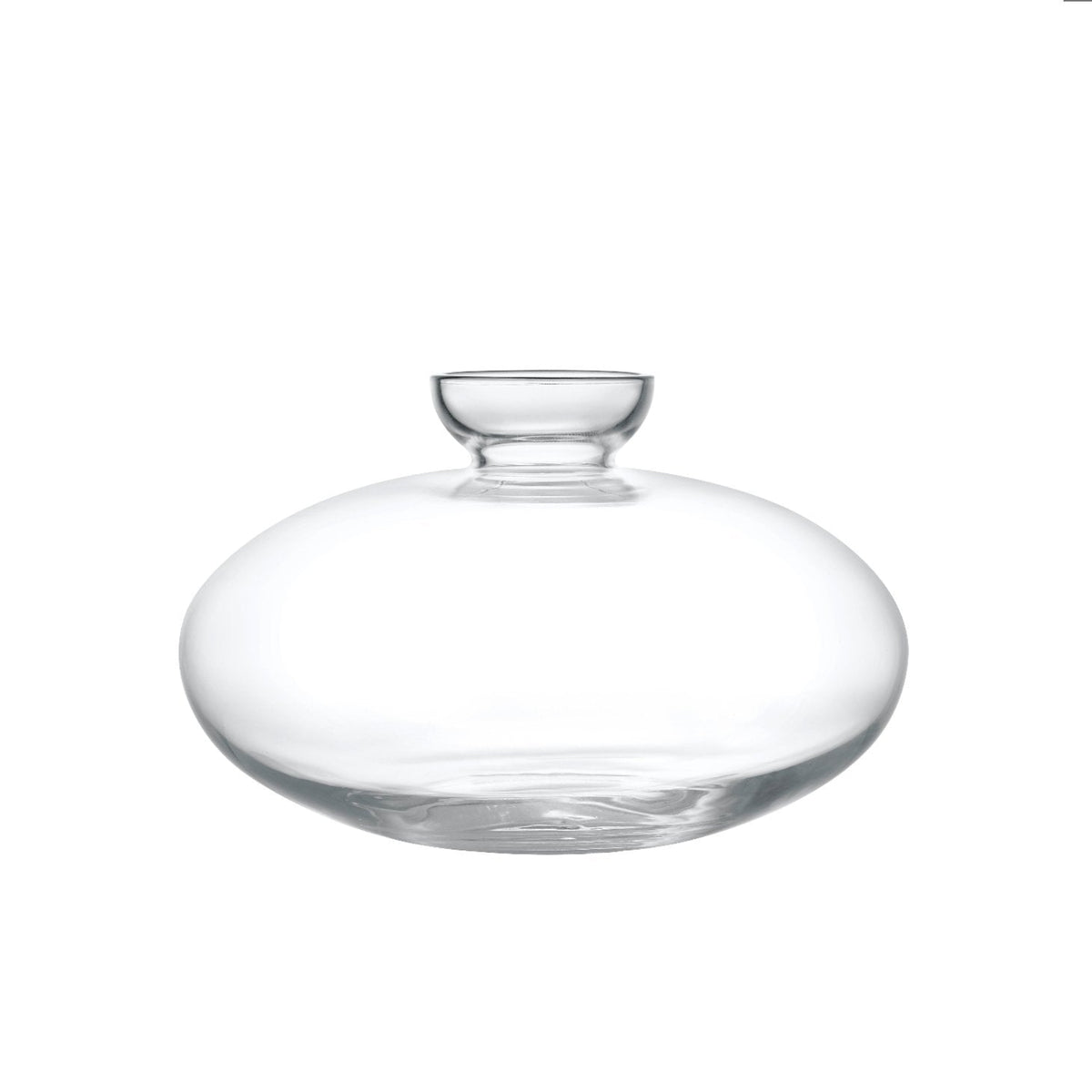 AVO Glass Avacado Starter Vase
