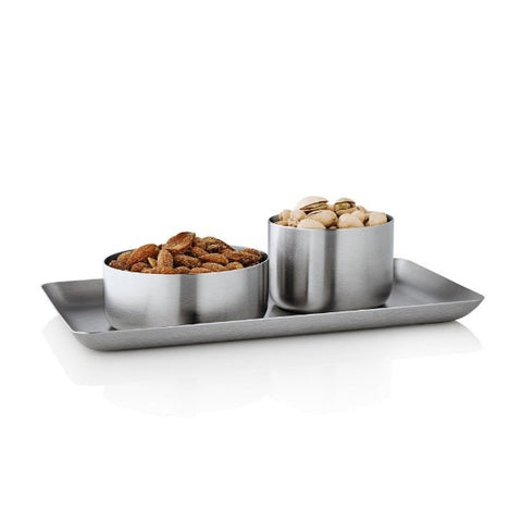 Stainless Steel Tray 10x17 cm/4x7 inches