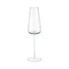 BELO Champagne Flute Clear